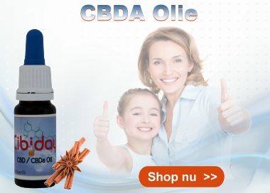 CBDA Olie Cibiday