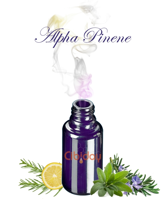 Alfa Pineen Terpeen