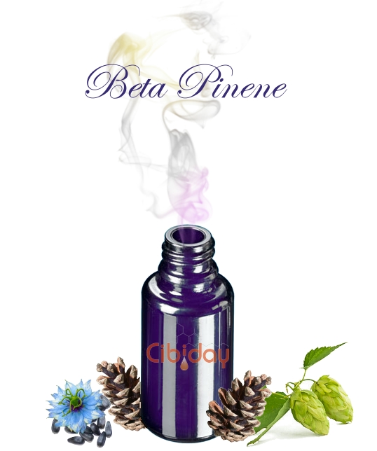 Bèta Pineen Terpeen