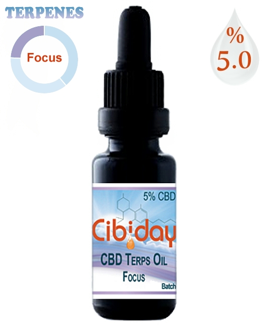 CBD Terps Olie Focus