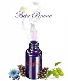 Bèta Pineen Terpeen