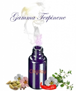 Gamma Terpineen Terpeen